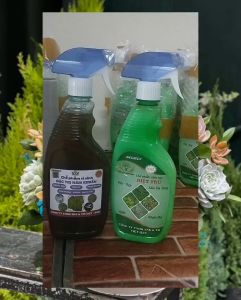 Bộ đôi toàn diện Biogreen chai pha sẵn diệt và phòng mọi loại sâu nấm khuẩn rầy rệp nhện đỏ côn trùng phá hoại cây trồng như rau hoa hồng lan mai vàng cây ăn quả cây trong nhà