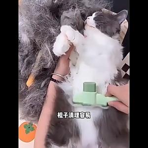 [Pet Grooming] Deshedding Comb – Ear Brush Pin Brush Self-Cleaning | For Cats & Dogs