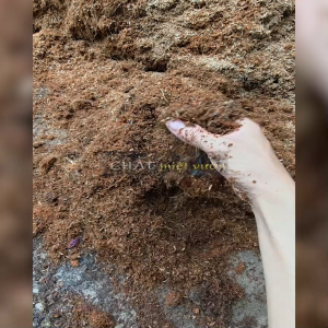 Hỗn Hợp Đất Trồng Trộn Sẵn - Đất trồng trộn sẵn - Xơ dừa trộn - Tro trấu trộn