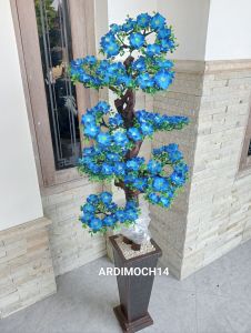 Bunga semanggi tinggi 13 meter