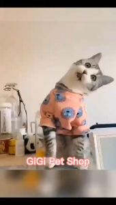 Quần áo thu đông lớp nỉ thú cưng cho chó mèo giữ ấm nhiều họa tiết dễ thương cute giao ngẫu nhiên - Gi Gi Pet Shop