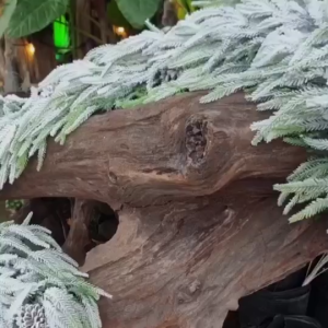 Dây Lá Thông PE Phủ Tuyết KCS42 Trang Trí Decor Giáng Sinh TTNTSS468