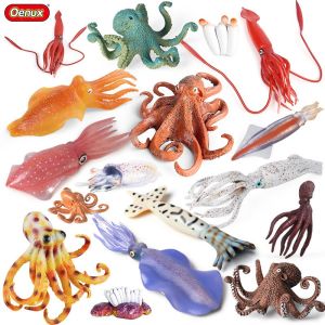Educational Squid and Octopus Models