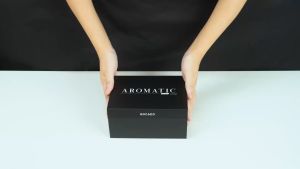 Combo 2 Chai Nước Hoa Ô Tô Cao Cấp AROMATIC - GOCADO