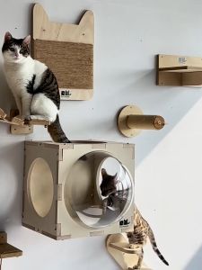 F&G Cat Wall Cat Tree house Cat Jumping Platform Cat Climbing Shelf Wall Mounted Cat Claw Column 猫爬架/猫跳台