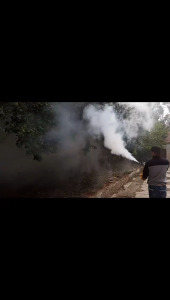 2L Mosquito Fogging Sprayer Machine Farm Thermal Fog Machine Sterilizer For Cockroaches Flies