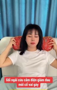 Gối Chườm Thảo Dược Gối Chườm Ấm Cổ Gáy Ngải Cứu Gối Ngải Cứu Cắm Điện Làm Nóng Cổ