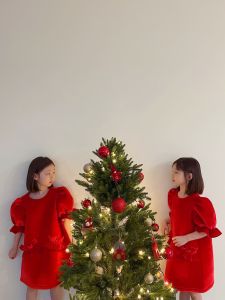 INS Style Velvet Red Girls Dress