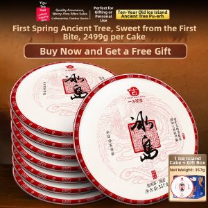 YIGUCHATANG | Aged Ten Years Above Yunnan Ancient Tree Puerh Tea