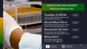 Obat Sipilis Kencing Nanah Spilis Kencing Sakit Gonore Kencing Darah Raja Singa Paling Ampuh untuk Pria dan Wanita