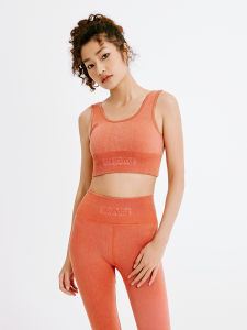 GinGinKing High Energy Yoga Sports Bra with Chest Pad U-Neck Seamless Elastic Womens Moisture Wicking Quick Dry Breathable