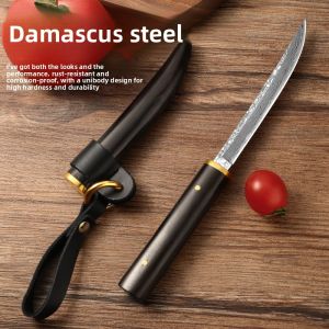 GANGWO | Damascus Steel Fruit Knife Portable