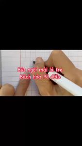 Bút Máy Ngòi Kim Tinh Êm Trơn Loại 1 Chuyên Luyện Chữ Cho Học Sinh Lớp 1 - Rubik 77