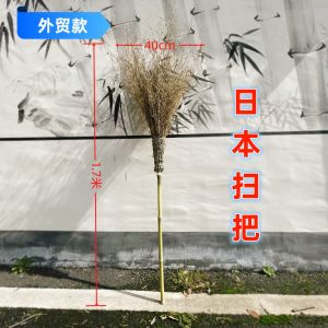 Thickened Golden Grass Broom for School Yard Metro Cleaning Natural Plant Material Outdoor Household Personal Cleaning Tool