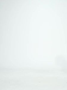 alo yoga ผู้หญิงแขนสั้นคอกลมกีฬา T เสื้อวิ่งฟิตเนสเสื้อเข้ารูประบายอากาศโยคะแขนสั้น