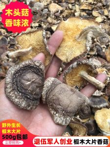 Large Pieces of Mushroom Dry Goods 500G Basswood Dried Fragrant Rug Mushroom Bulk Small Mushroom Stuffed Dumplings Fillings Slices Broken Mushroom