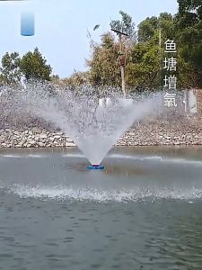 Viocky Pond Fountain Aerator 220V Floating Pump Fit for Outdoor Small Large Ponds & Lakes with 30m Power Cord