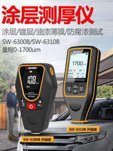 High Precision Deepswell Sw6310 Paint Coating Thickness Gauge Zinc Plating Layer Measurement Instrument Plastic Electronic Device