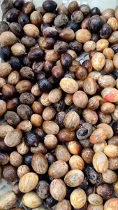 Buah Pala Kering 500 gram / Biji Pala Kering Bulat Utuh 250 gram Kualitas Premium