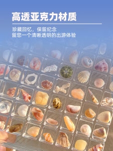กล่องเก็บของอะคริลิกลายหอย เรียบหรูขนาดเล็ก พิมพ์ลายธรรมชาติ อุปกรณ์เสริมสำหรับเครื่องสำอาง กล่องกระดานแม่เหล็กหอย