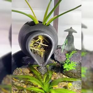 50ปีไม่ต้องเปลี่ยนน้ำ จุลินทรีย์น้ำใสบ่อปลา จุลินทรีบ่อปลา 1050ml น้ำยาปรับสภาพน้ำ 12 ชั่วโมงใวิน้ำใสขึ้น จุลินทรีย์ปรับสภาพน้ำใส ละลายอุจจาระ ดับกลิ่นเหม็น เสริมแร่ธาตุและเอนไซม์ ดูแลสุขภาพปลา ให้น้ำใส ปรับสภาพน้ำปลา จุลินทรีตู้ปลา จุลินทรีน้ำใส