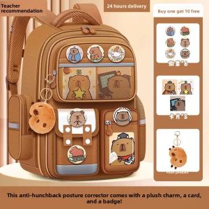 JIFANPAUL | Spine Protection Lightweight Backpack for Students