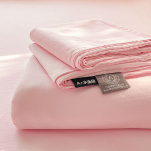 HAOMIAN | A Grade Thickened Flannel Bed Sheet Set For All Seasons