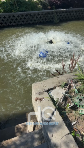 Máy sục khí 3 phao chuyển đổi tần số máy sục khí ao cá cánh quạt máy bơm sục khí ao cá nuôi cá nuôi trồng thủy sản máy sục khí tam hoa 1.5kw 220v