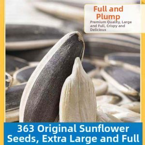Fresh Roasted Original Flavor Large Sunflower Seeds Snack