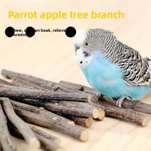 Parrot Branch Sweet Bamboo Teeth Grinding Stick Self Entertaining Toy for Parrots Peacocks