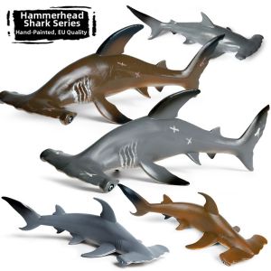 Educational Realistic Shark Models