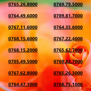 Sim Mobifone tam hoa 000 biểu thị sự ổn định trong công việc và sự thăng tiến data180GB [SIM CHƯA KÍCH HOẠTPHẢI ĐĂNG KÝ)