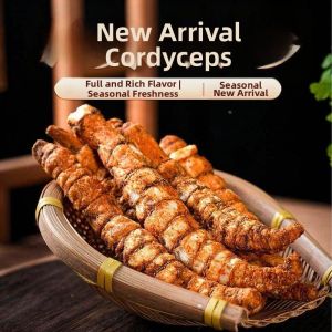 Sour Tomato Flavor Cordyceps Solenopsis Crisp Snack