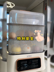 Fast-heating electric steamer with a transparent lid and automatic keep-warm function. A kitchen essential! | Electric Steamer