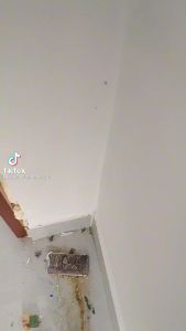 🌟🌟 Chống Thấm Kiến Cường 🌟🌟 dụng cụ băn keo bọt nở ( Form ) chống thấm nhanh tiện đẹp