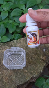 "TERLARIS" "ENERGI CENDET 10ML" VITAMINPENGGACOR BURUNG PENTETCENDETMENAMBAH DAN MENGHAFAL ISIAN