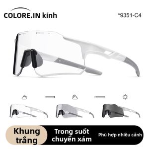 Colore.in | Kính Chống Sáng Dùng Ban Ngày và Ban Đêm
