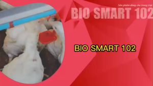 Bio Smart 102 - giải độc gan thận cấp nấm mốc tăng lực hạ ph đường ruột giảm gan nhiễm mỡ kích thích nhu lông đường ruột