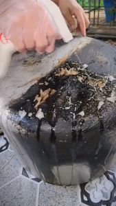 [HCM] Chai xịt Dr Natro - Siêu Tẩy Đa Năng - Tẩy Sạch Mọi Vết Bẩn - Chai 500ml