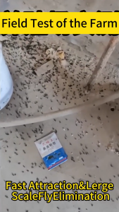 （Buy 1 Free 4）racun lalat 50 years without Flies fly killer Powder 2-in-1 Spraying + throwing fly trap Flies and eggs are eliminated together perangkap lalat kipas lalat 蒼蠅神器 lalat perangkap