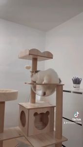 Premium Large Cat Tree House Cat Condo Bed Cat Scratcher House Wood Cat Tower Cat Climbing Tree Rumah Kucing 猫跳台 猫树