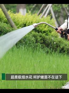 พร้อมส่ง ฝักบัวรดน้ำ 2000รู รูปแบบ ฝักบัวรดน้ำ 2000รู ฝักบัวรดน้ำแคคตัส ฝักบัวรดน้ำบอนไซ ฝักบัวรดน้ำ ไม้ด่าง ต้นไม้ฟอกอากาศ