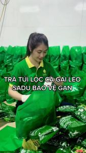 Trà túi lọc cà gai leo  mát gan-tăng cường chức năng gan (BỊCH 250G)