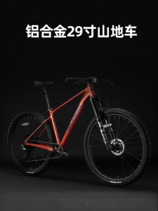 RockBros | Hydraulic Disc Brake Shock Absorption Mountain Bike 29 Inches