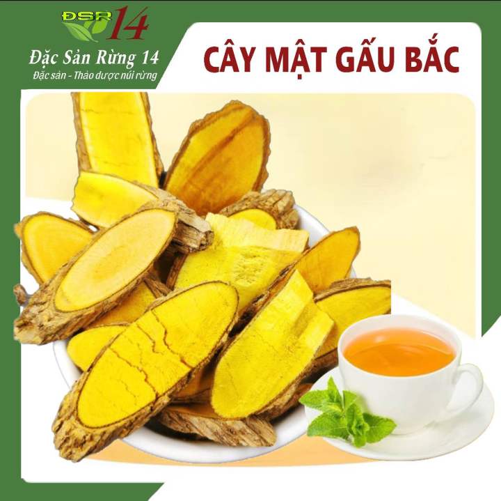 1kg Cây Mật Gấu ( Bắc) Thái Lát Khô Thơm , Thảo dược Đặc sản rừng 14 ...