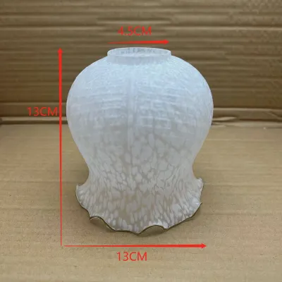 JIUYUN | Elegant Flower Glass Lampshade Lighting e27