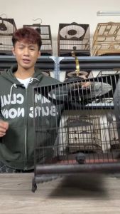 Lồng chim chào mào tự ráp triện lá đề nan cáp quang đen nóc tròn lồng chào mào nóc tròn gỗ mun cao cấp