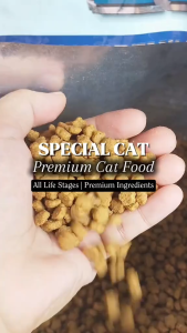 1kg Monge Special Cat Super Premium Chicken And Turkey DR Pet Supplies