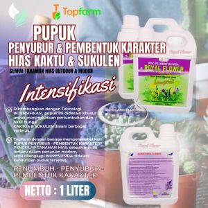 Pupuk Kualitas Tinggi untuk Kaktus & Sukulen