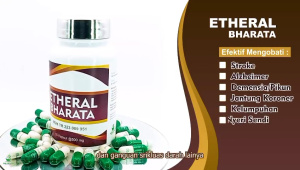 Obat Stroke Paling Ampuh Struk Kelumpuhan Kolesterol Darah Tinggi Etheral Bharata